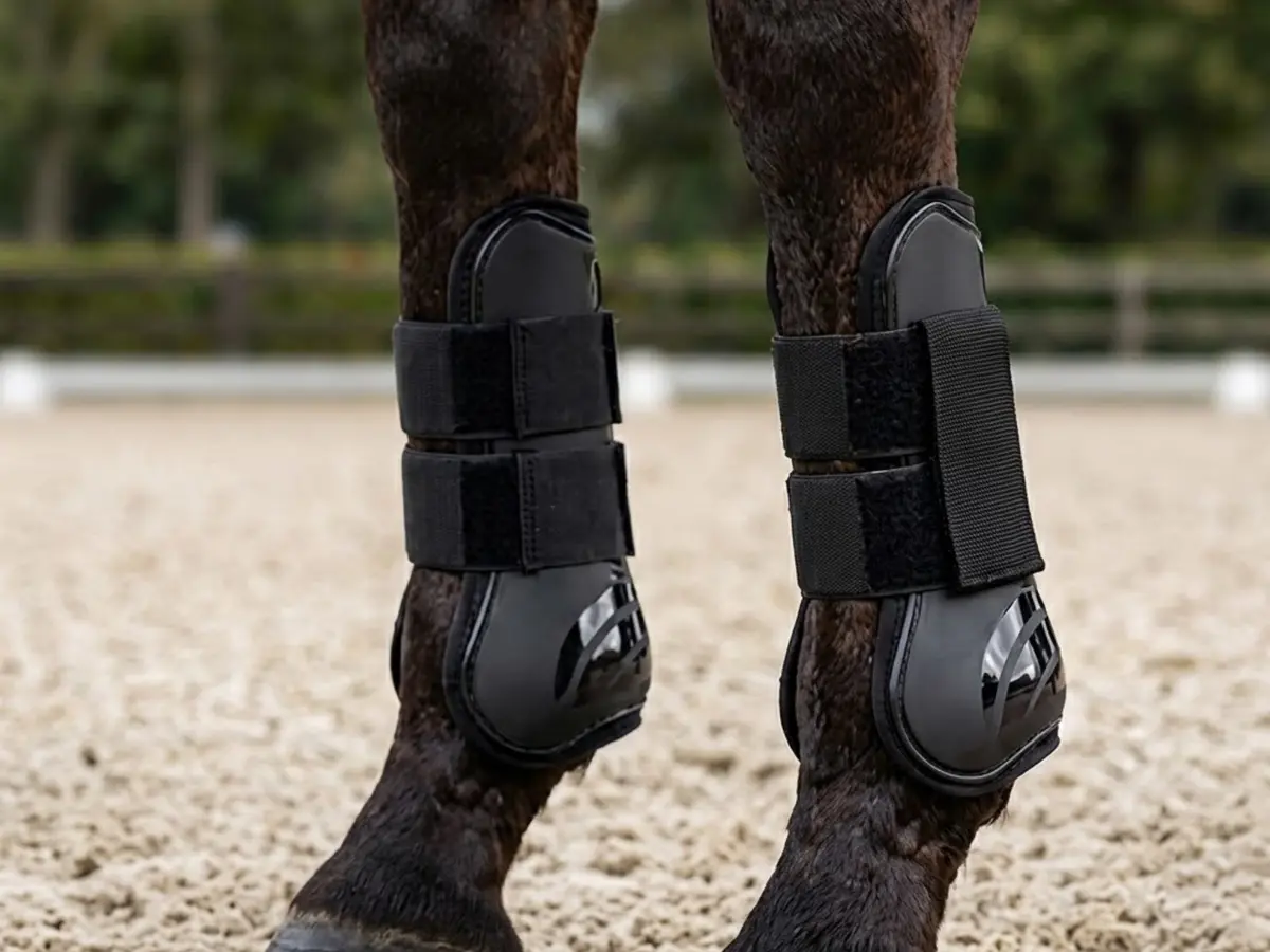 Horse care